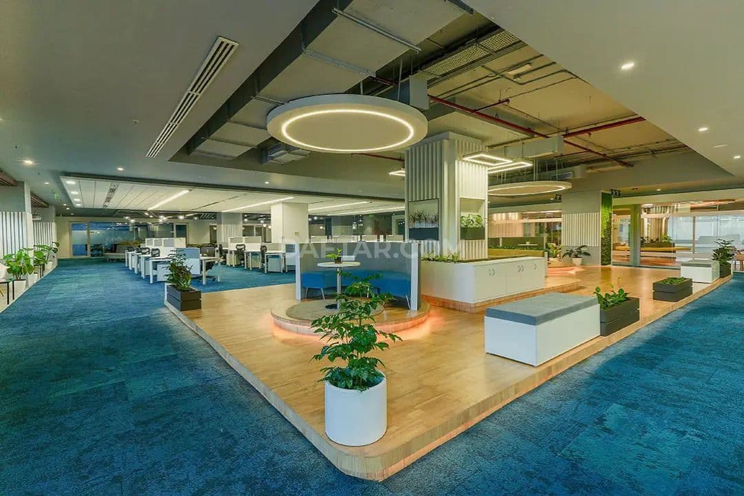 Media image-01-igCPhDa7.jpg