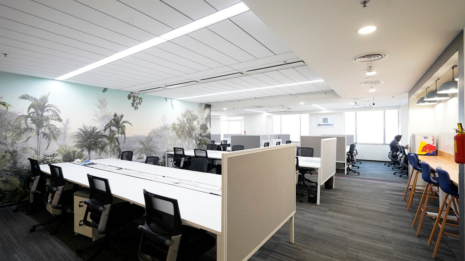 Media image-02-O3r1LO0a.jpg