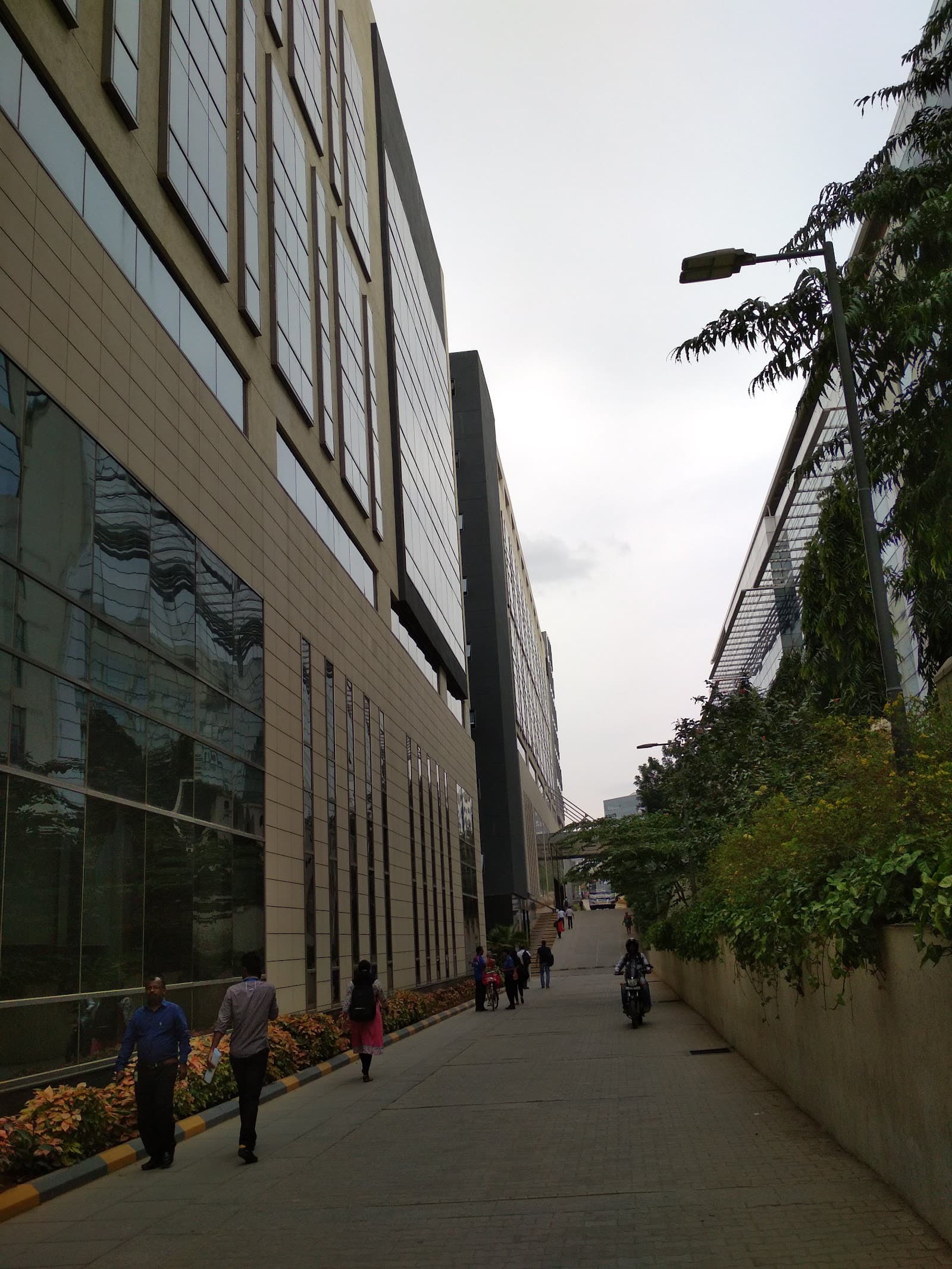 Media image-02-_OYVo4MW.jpg