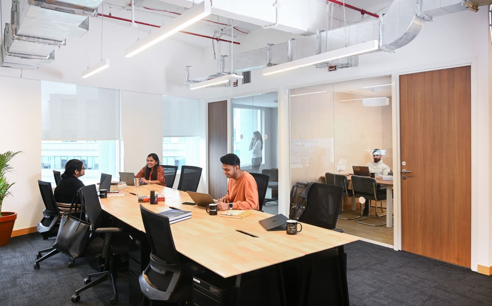 Media image-07-9wb1dXUX.jpg