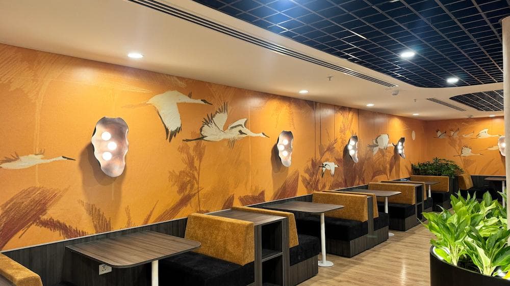 Media image-screenshot-2025-01-24-at-12811apm-x_3Y09nc.jpg