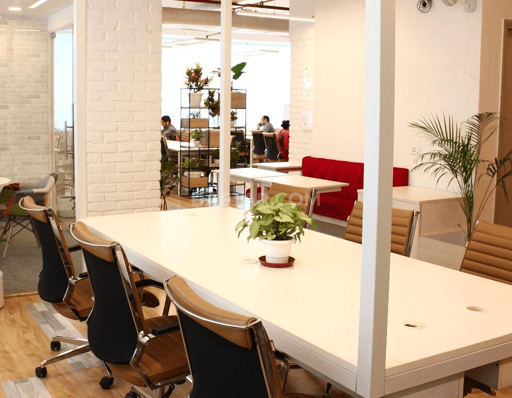 Media image-the-office-passdlf-corporate-greens-5-N2_PBFm5.png