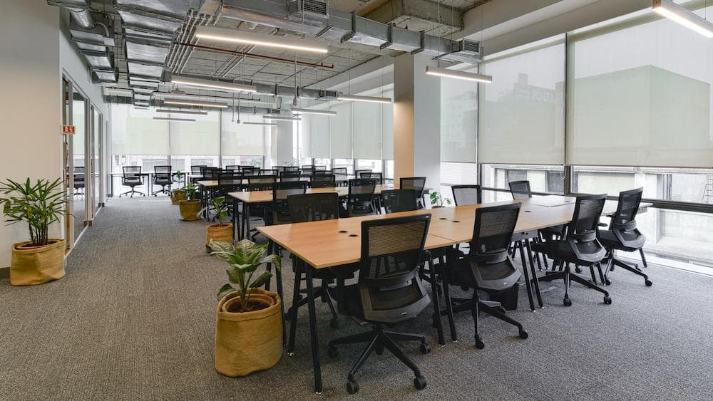 Media image-wework-vi-john-tower-1-5-f5SKfI8F.jpg