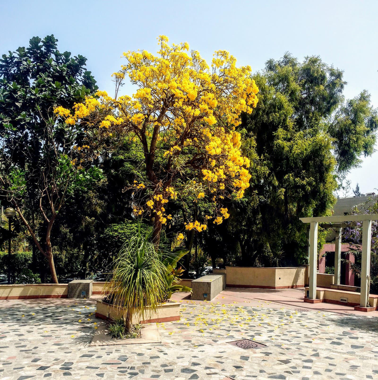 quark-atrium-quark-atrium-mohali-9.jpg