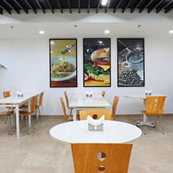 Media image-77a4a7f40ef1f33e285cdd3c7b76b811-yJ5l1DAx.jpg