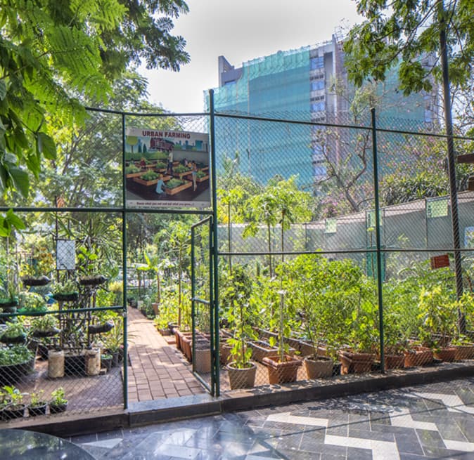 mindspace-k-raheja-mindspace-airoli-east-navi-mumbai-9.jpg